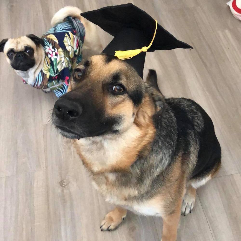 Meet your Posher, Xutong